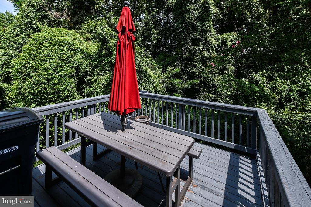 1709 CHINABERRY COURT