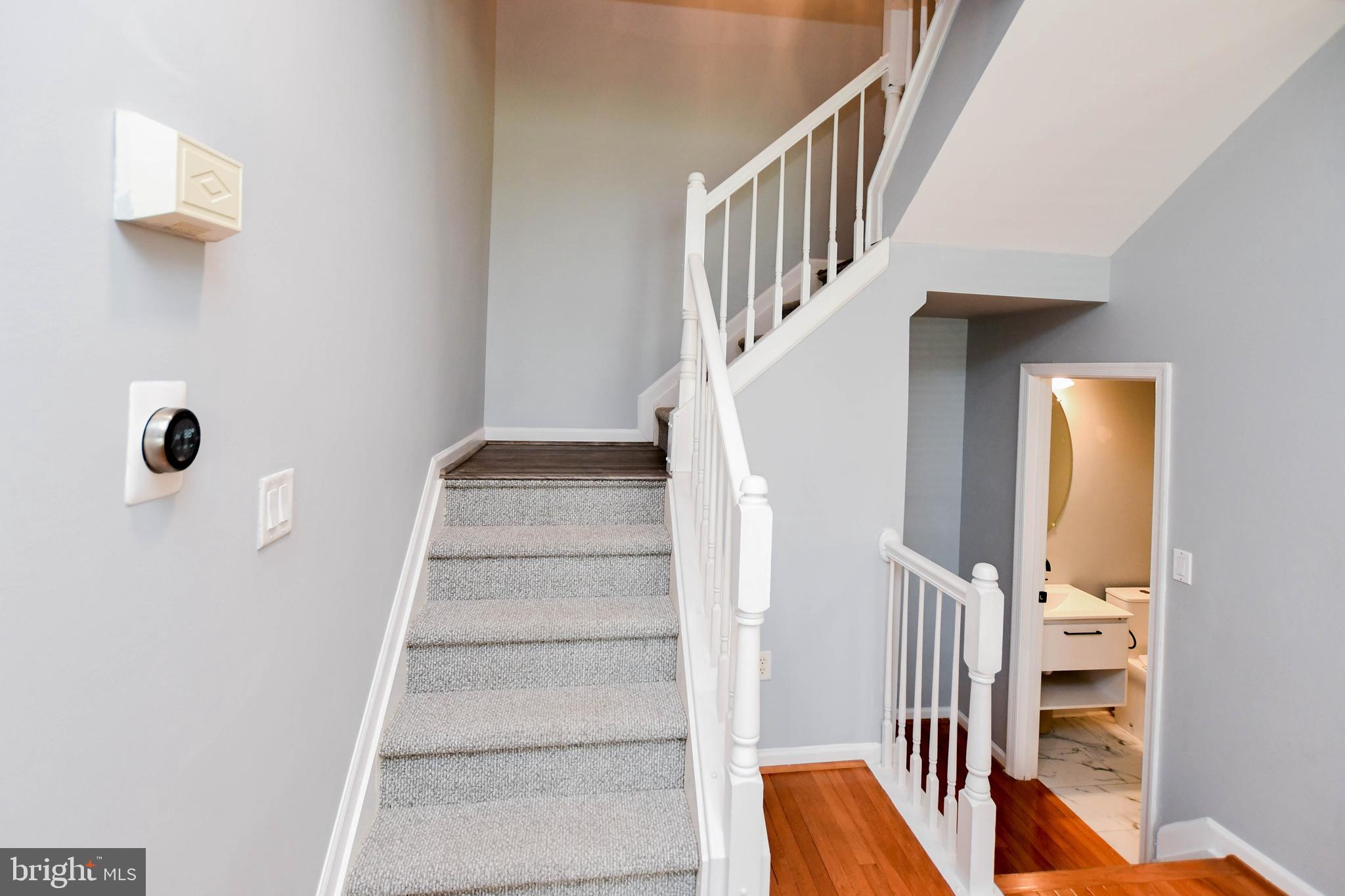 1709 CHINABERRY COURT