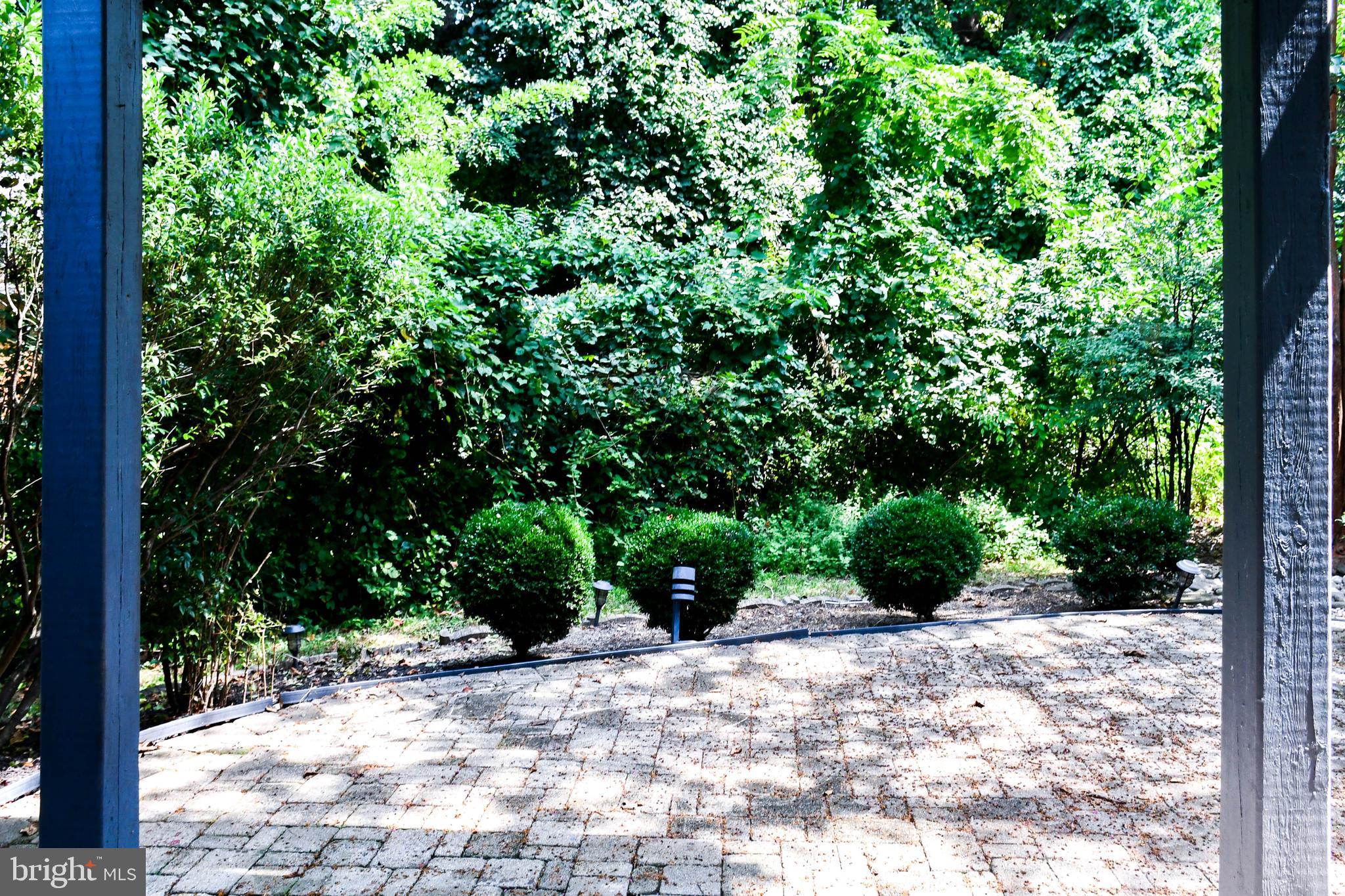 1709 CHINABERRY COURT