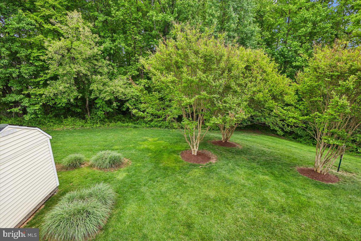 11903 BRACKEN COURT