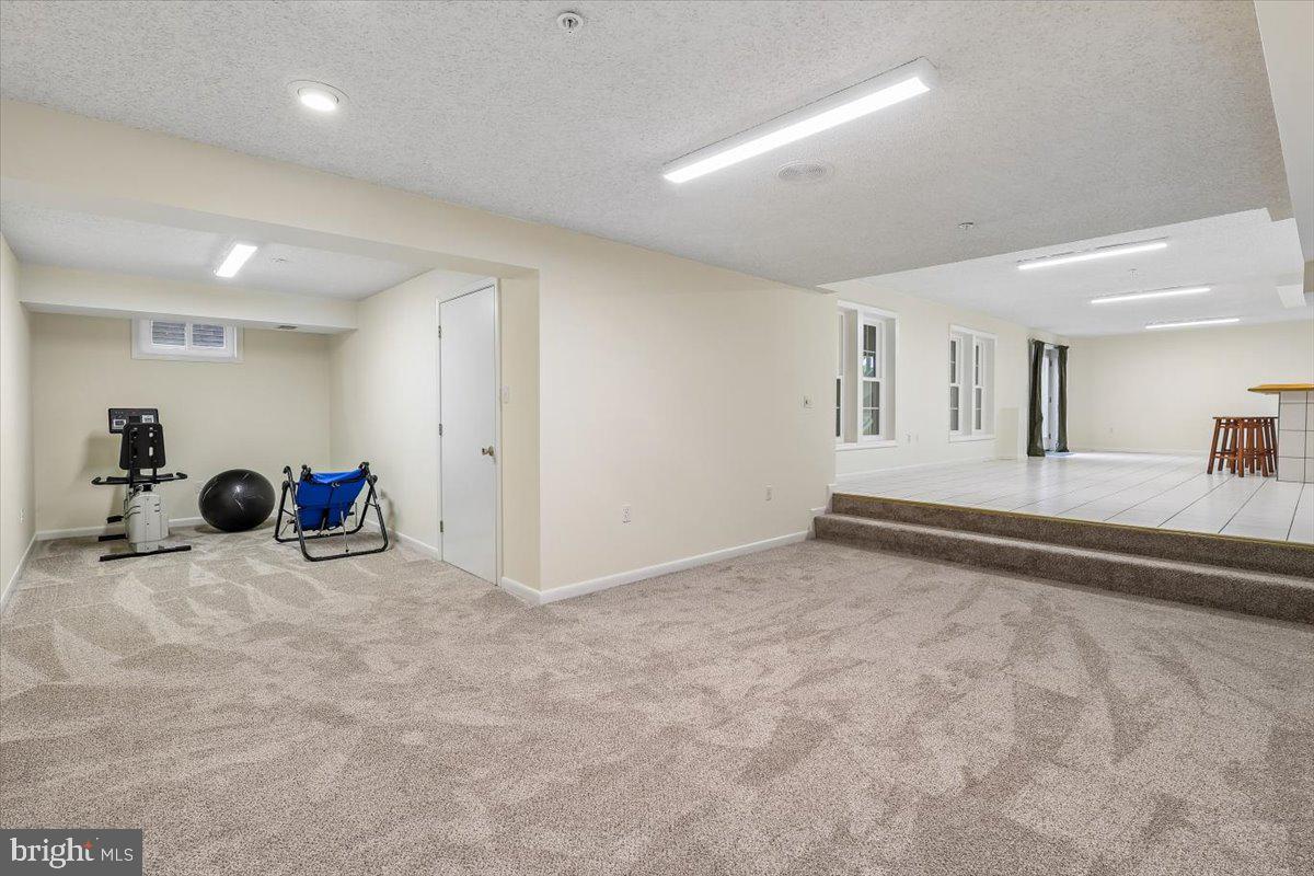 11903 BRACKEN COURT
