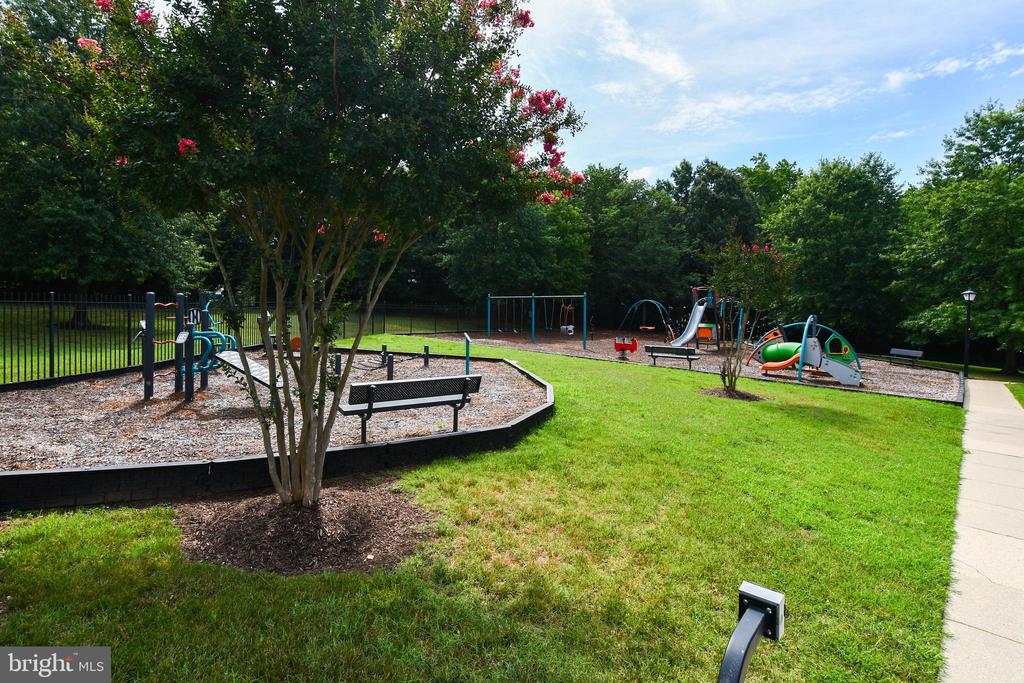 1401 DEEP GORGE COURT