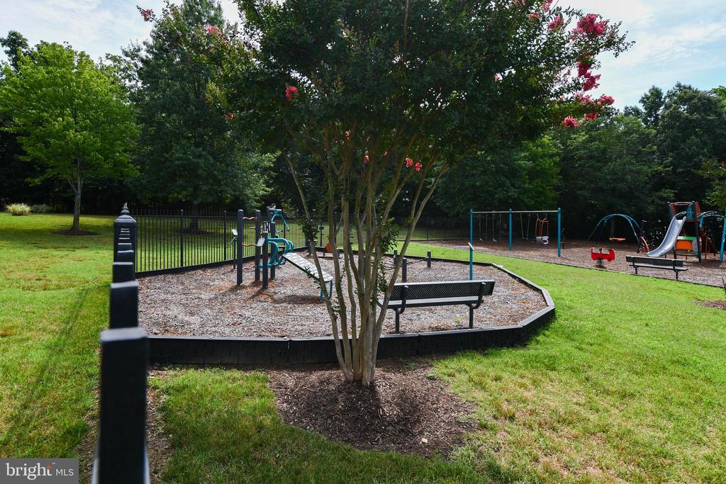 1401 DEEP GORGE COURT