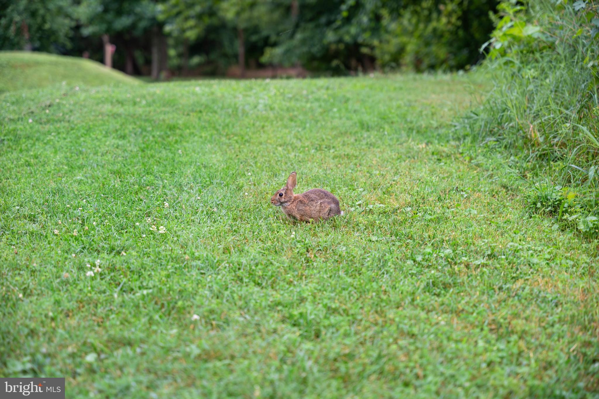 5300 COLUMBIA PIKE 315