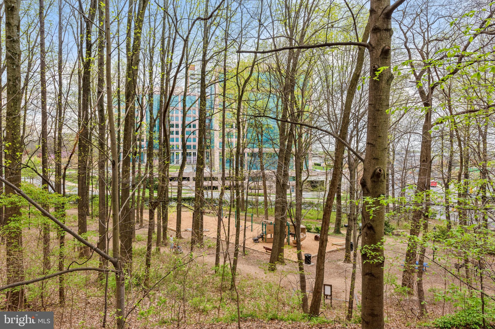 8350 GREENSBORO DRIVE 905