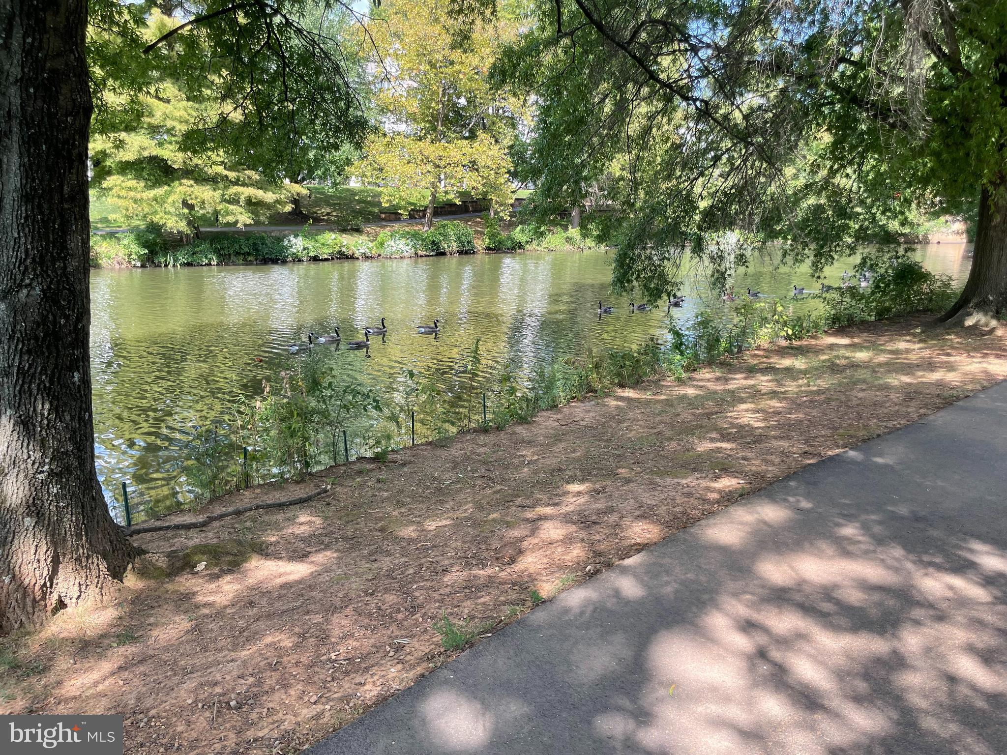 7757 INVERSHAM DRIVE 238