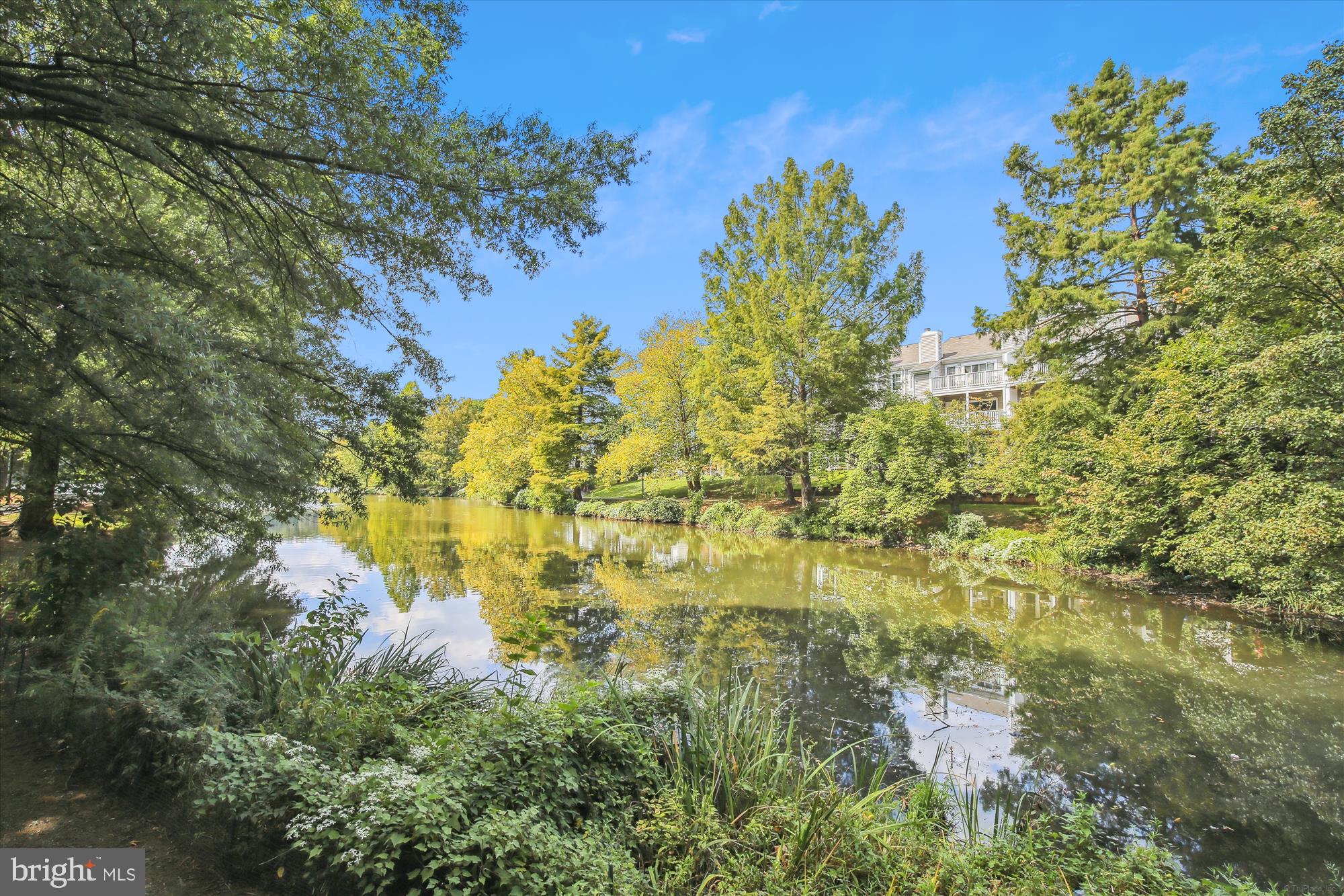 7757 INVERSHAM DRIVE 238