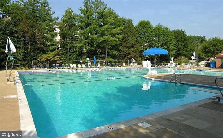 7033 SOLOMON SEAL COURT