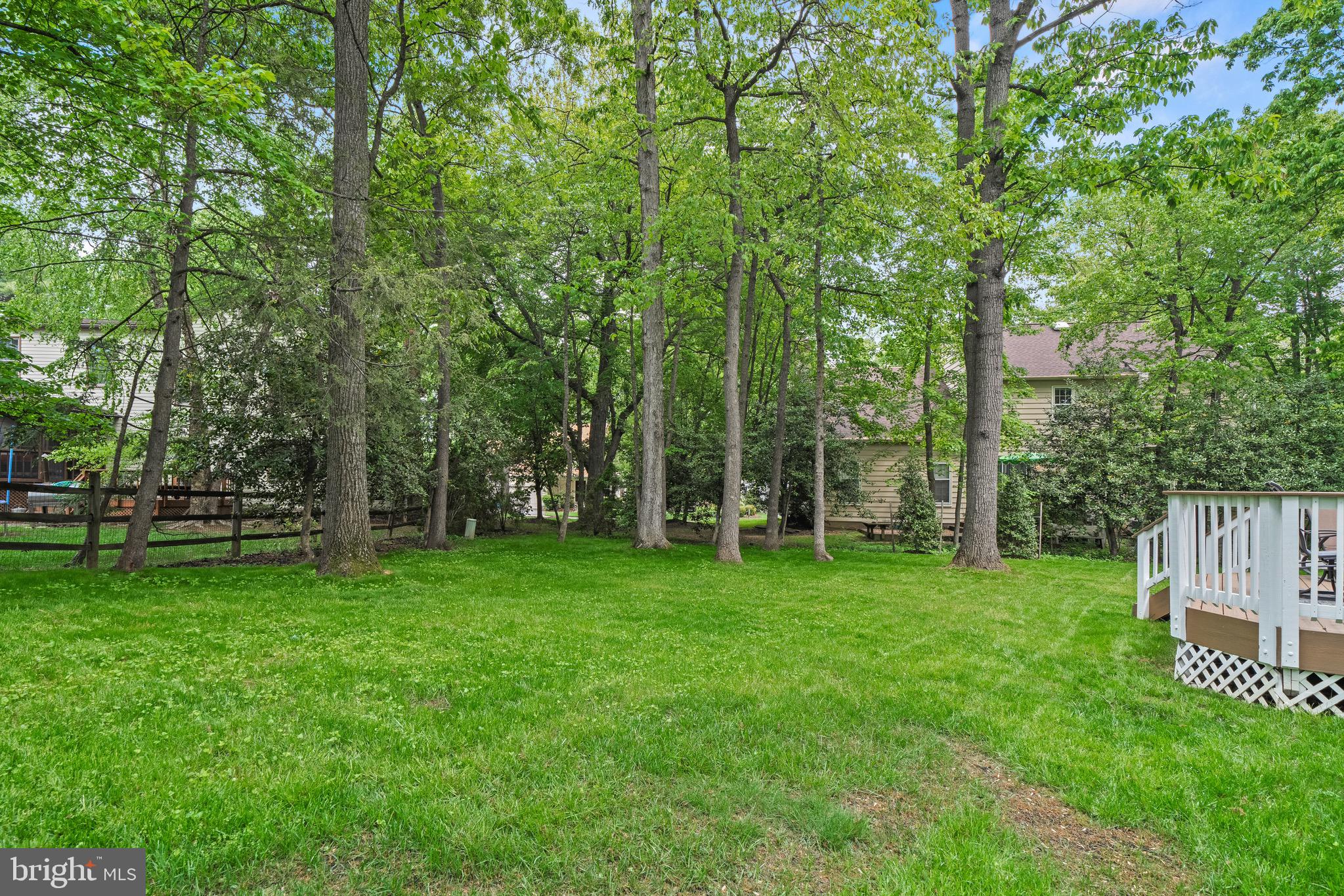 11204 LONGWOOD GROVE DRIVE