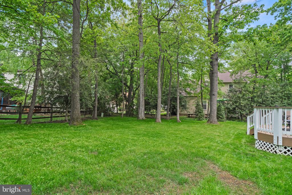 11204 LONGWOOD GROVE DRIVE
