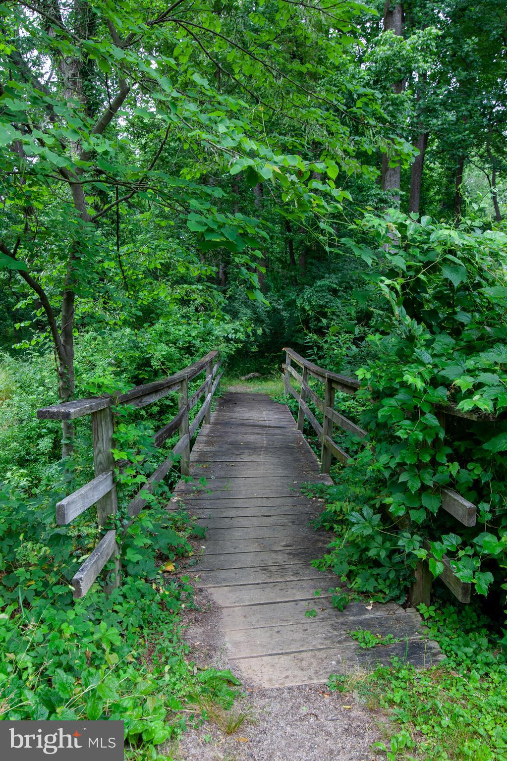 6034 CHESTERBROOK RD ROAD B