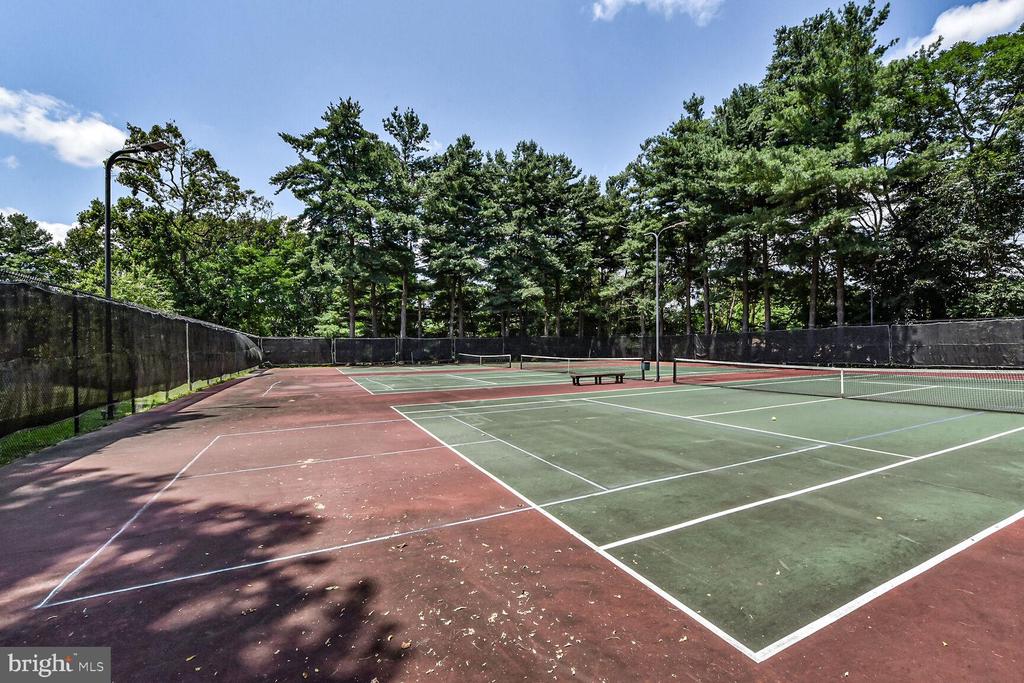 10238 SASSAFRAS WOODS COURT