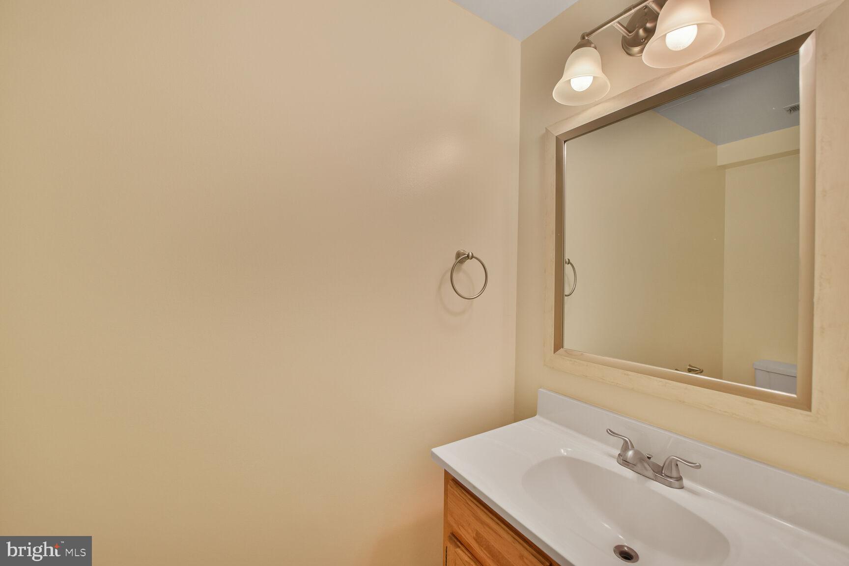 10238 SASSAFRAS WOODS COURT