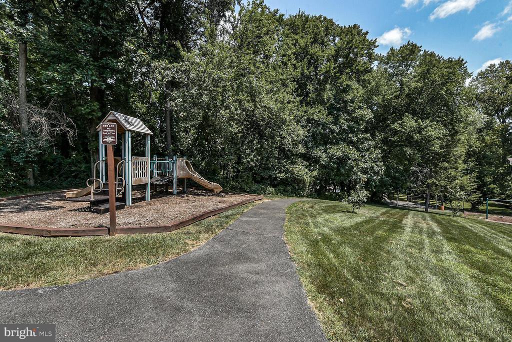 10238 SASSAFRAS WOODS COURT