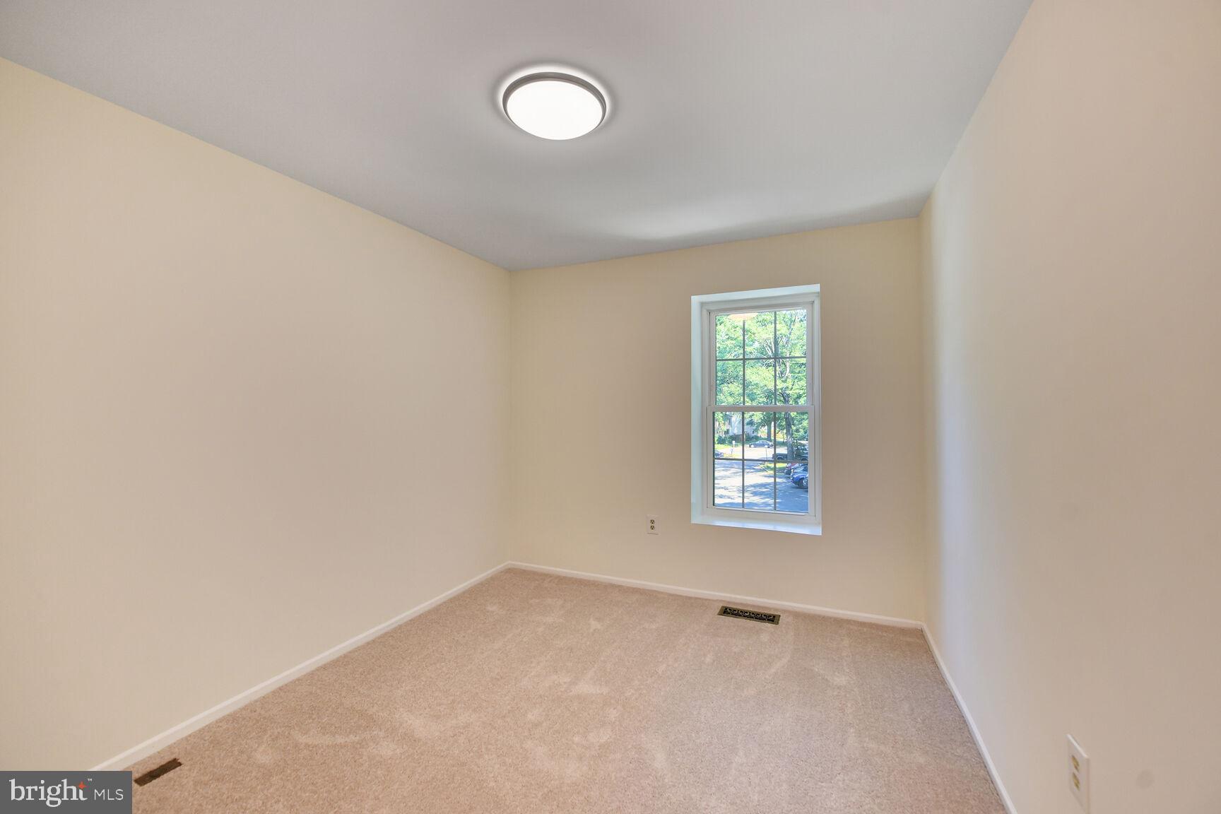 10238 SASSAFRAS WOODS COURT