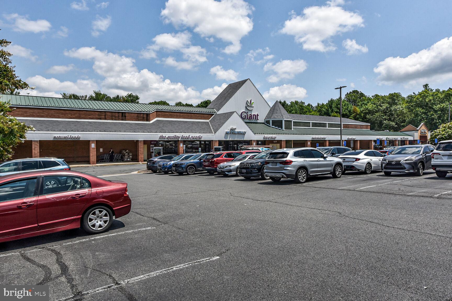 10238 SASSAFRAS WOODS COURT