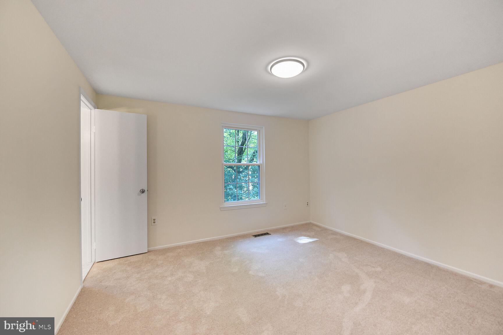 10238 SASSAFRAS WOODS COURT