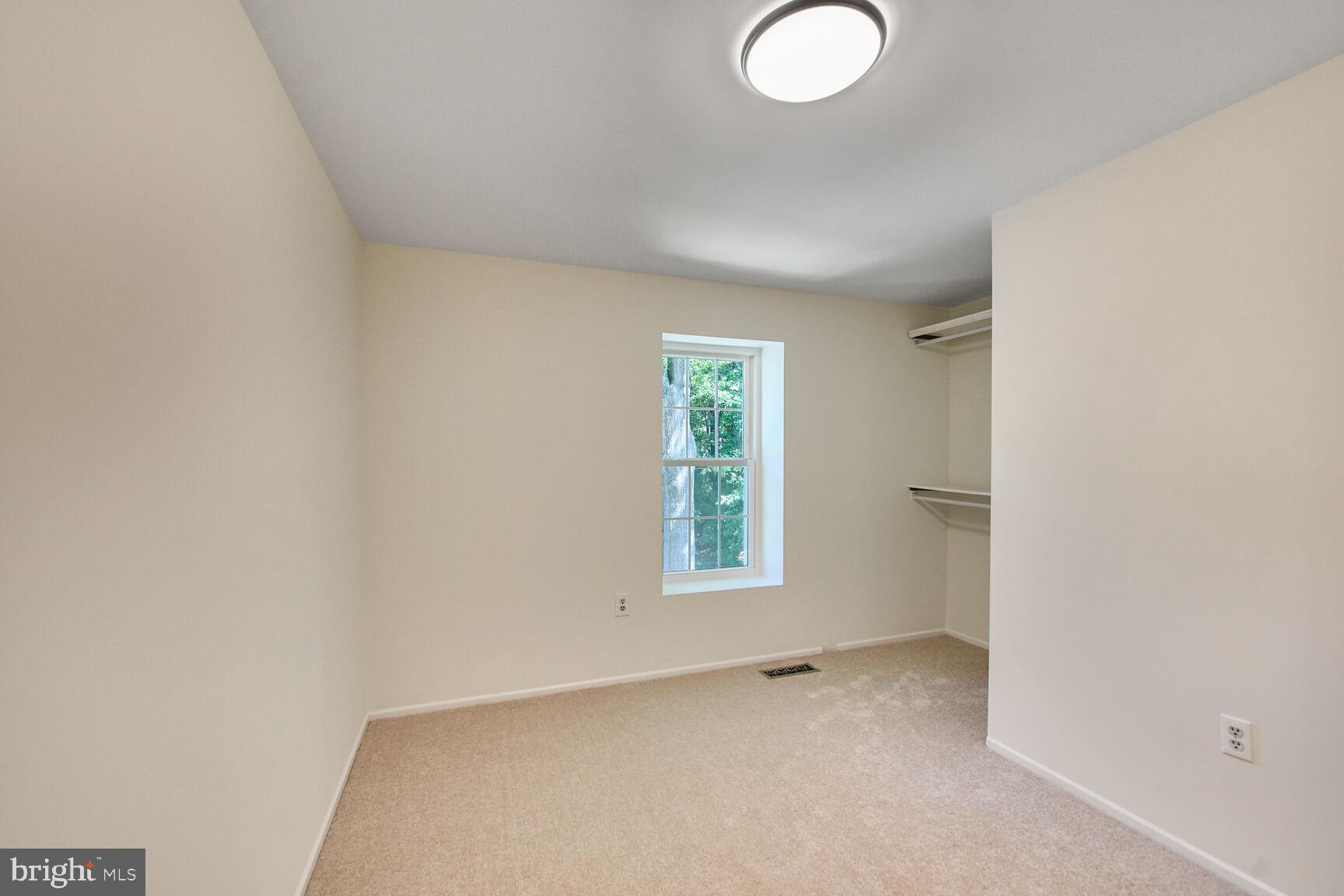 10238 SASSAFRAS WOODS COURT