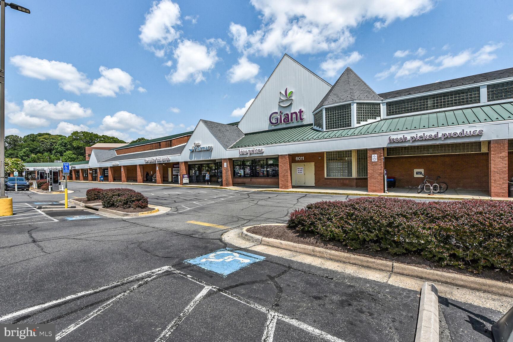 10238 SASSAFRAS WOODS COURT