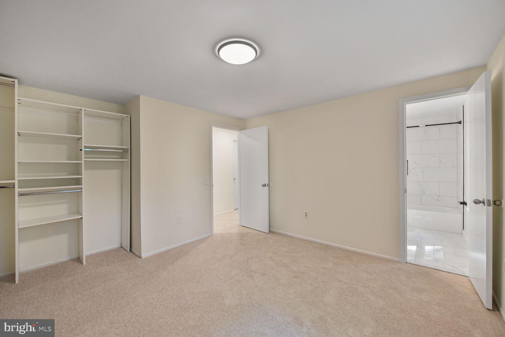 10238 SASSAFRAS WOODS COURT