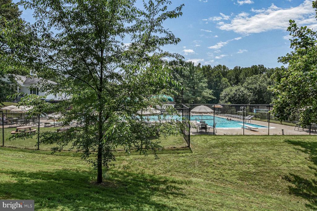 10238 SASSAFRAS WOODS COURT