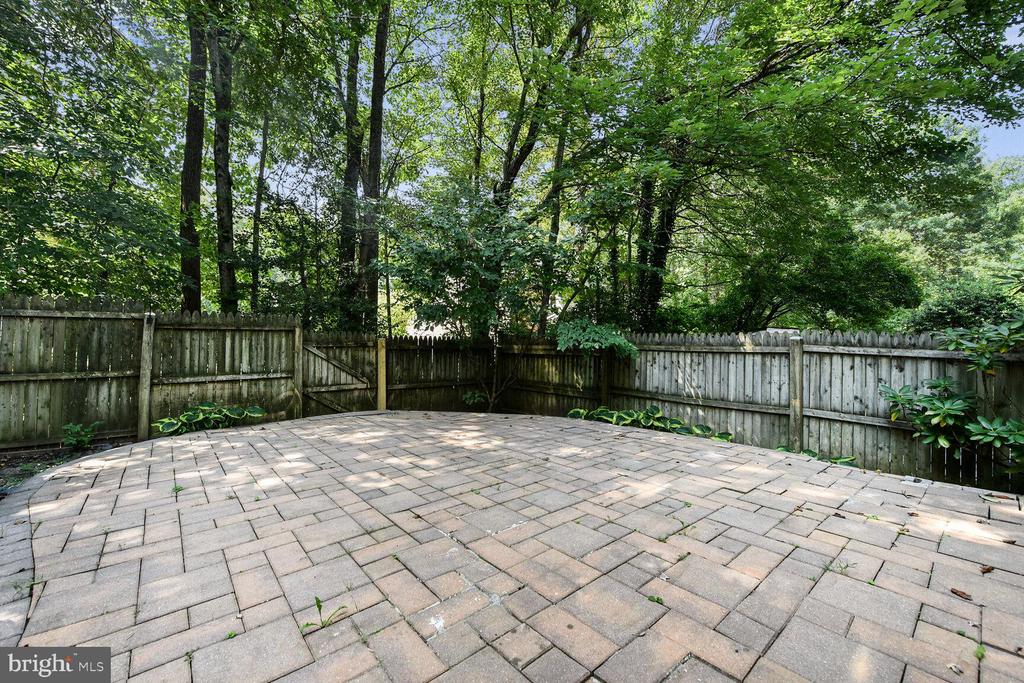 10238 SASSAFRAS WOODS COURT
