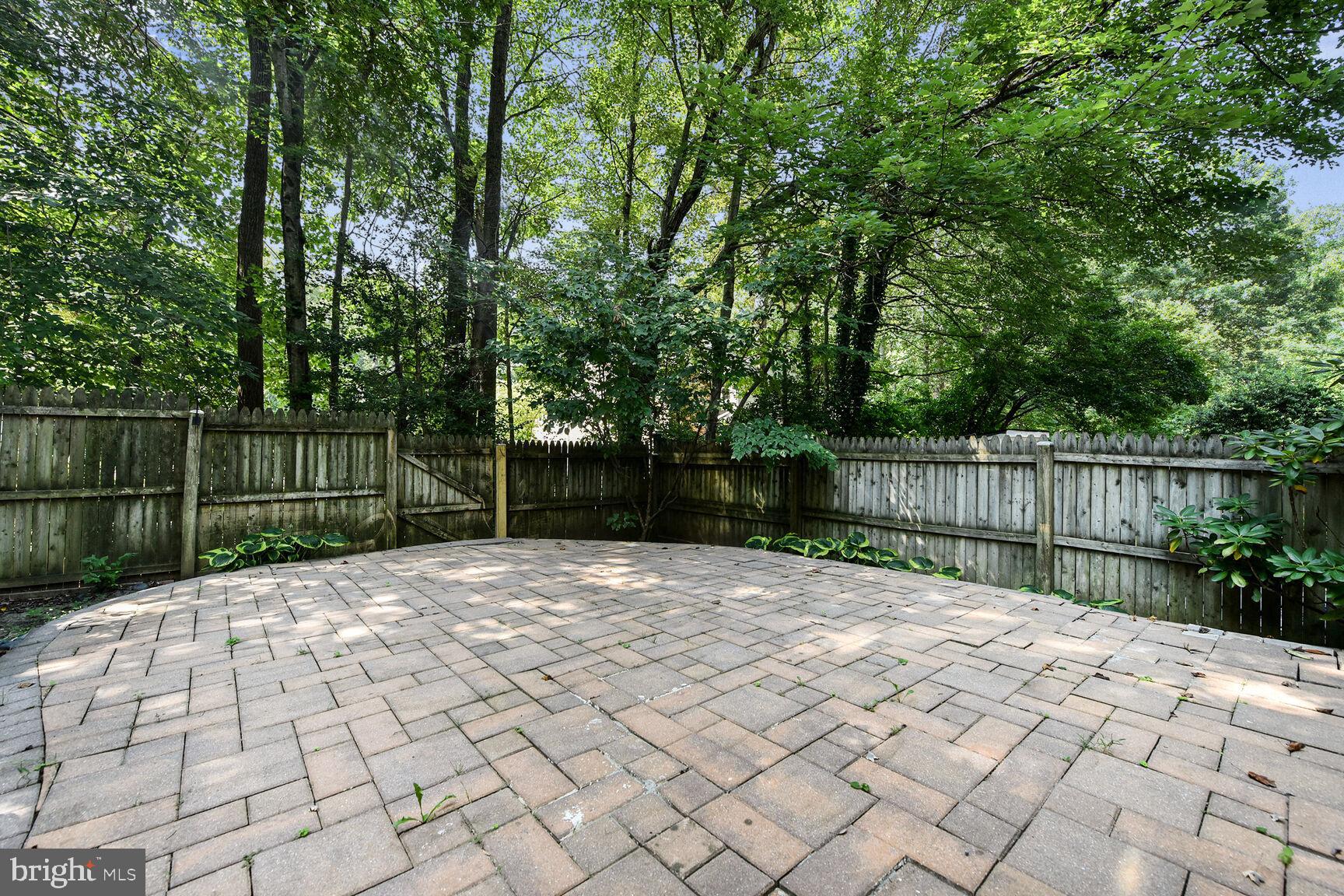 10238 SASSAFRAS WOODS COURT