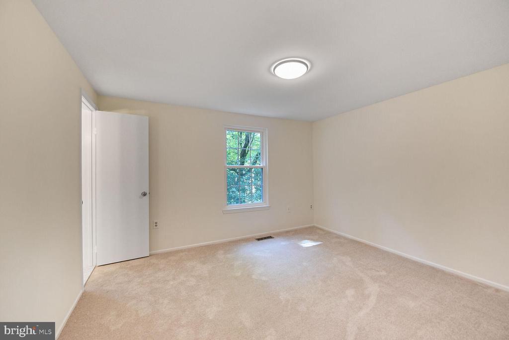 10238 SASSAFRAS WOODS COURT