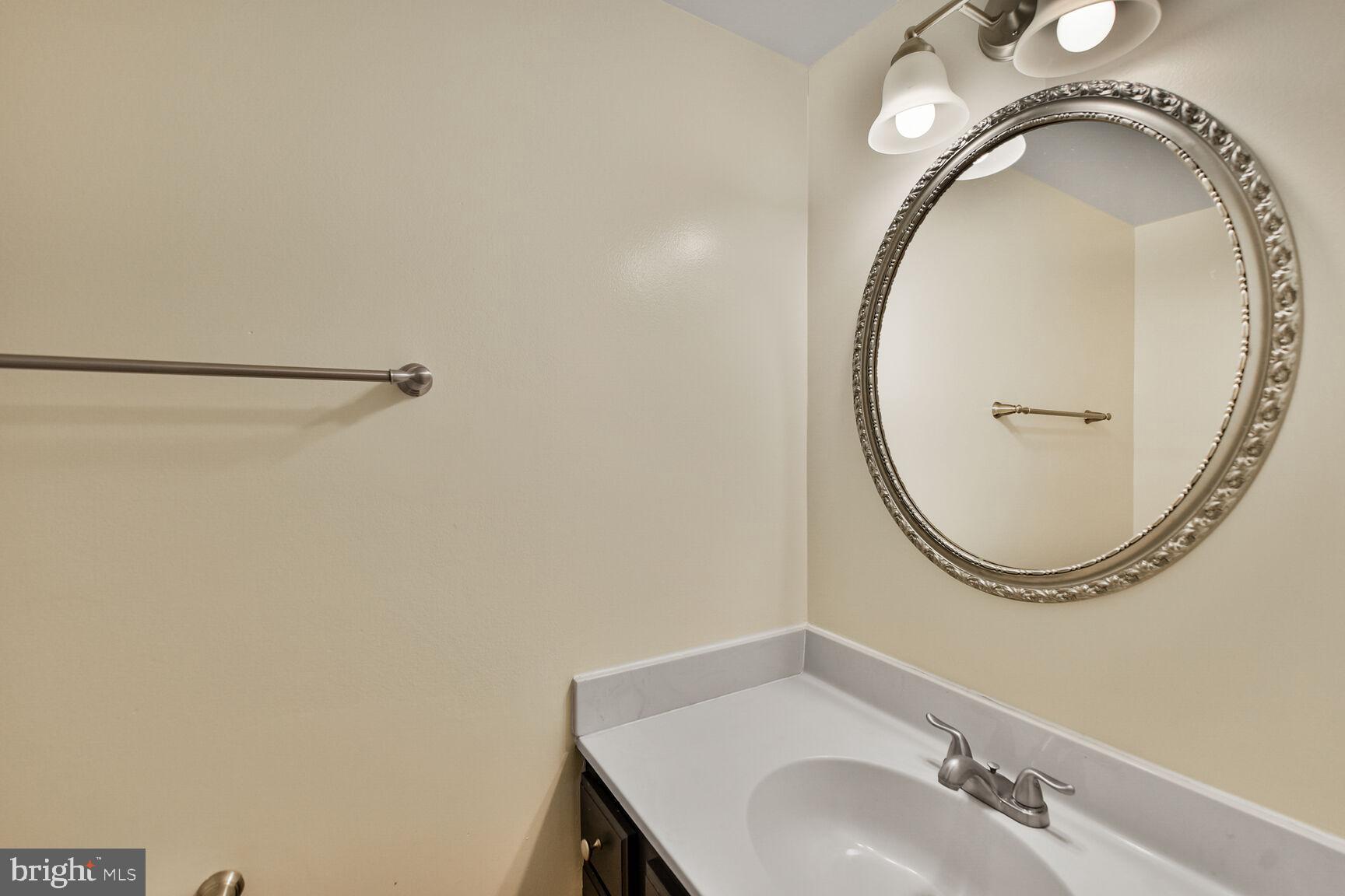 10238 SASSAFRAS WOODS COURT