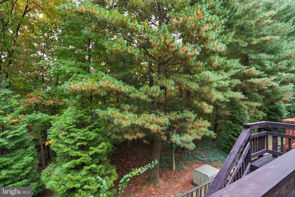 12222 APPLE ORCHARD COURT