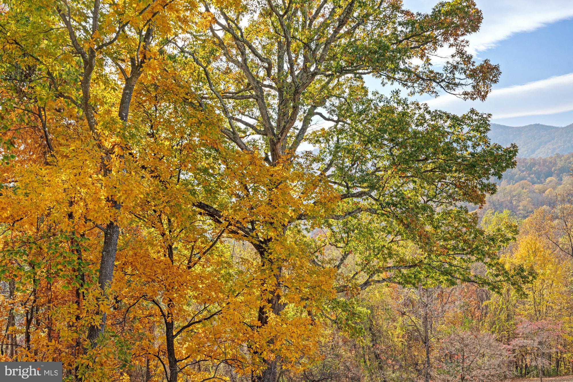 1126 F T VALLEY ROAD