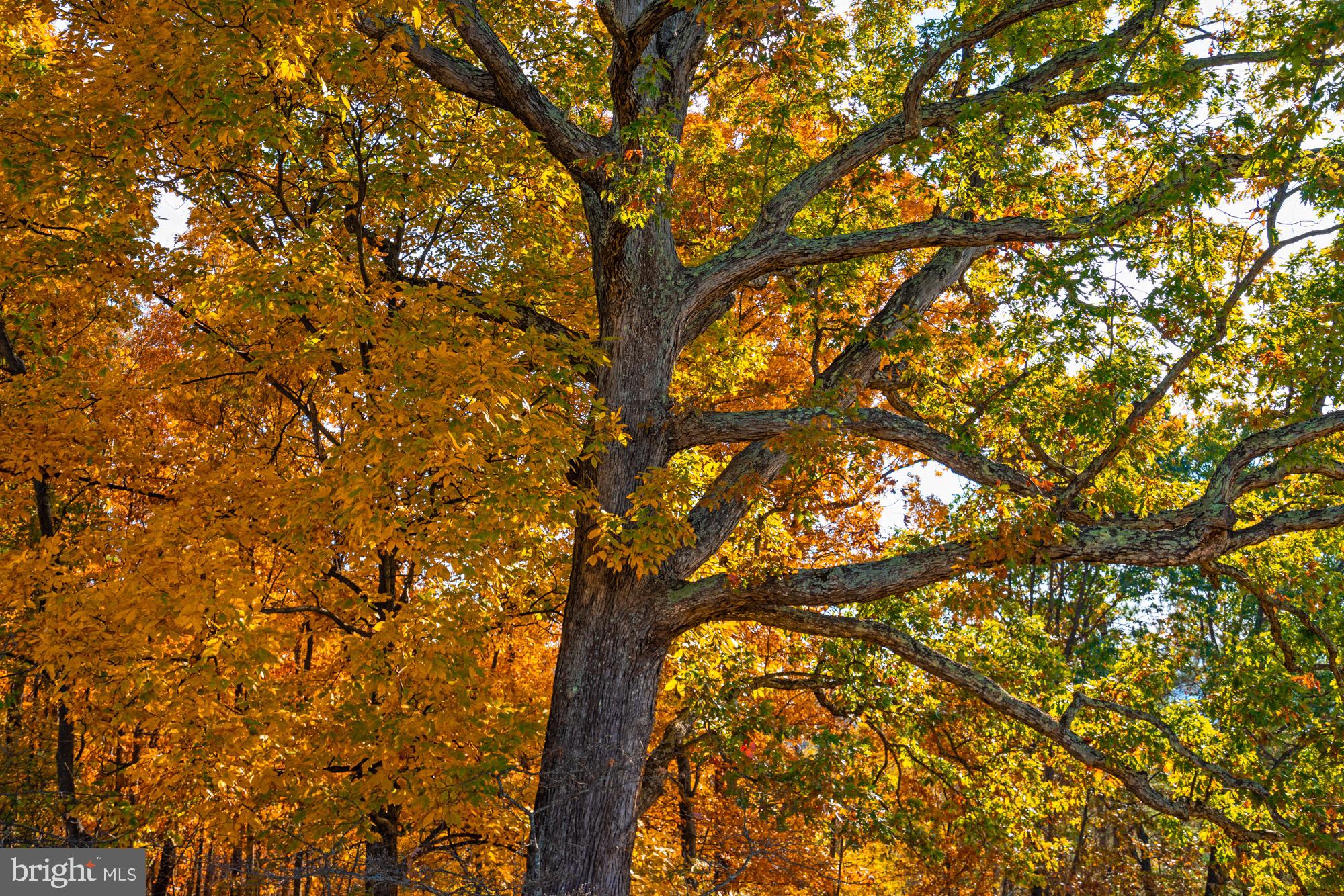 1126 F T VALLEY ROAD