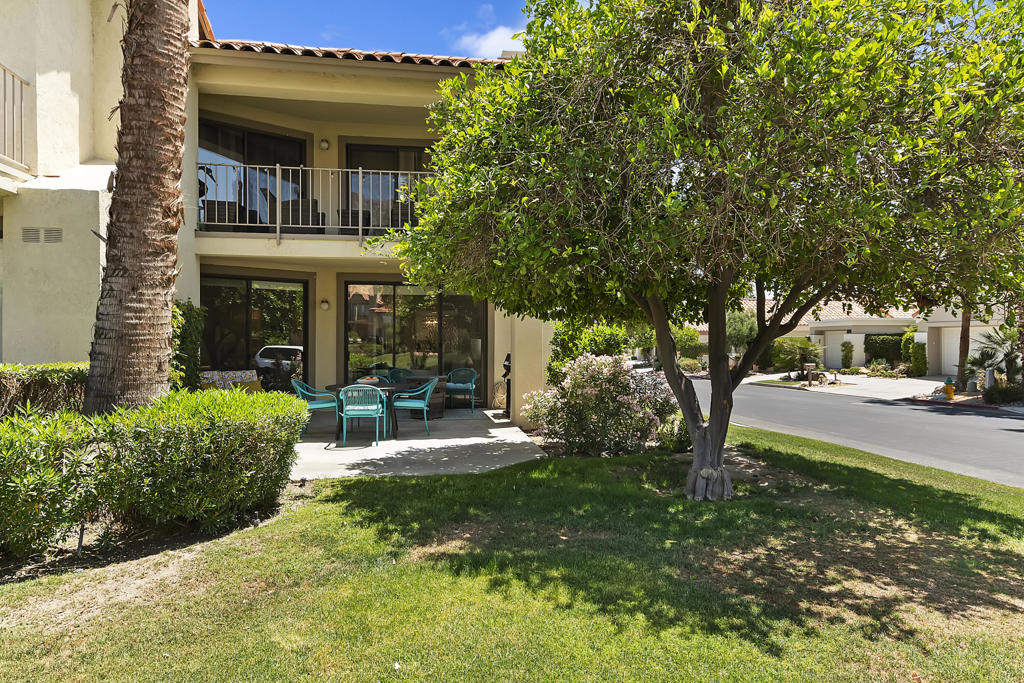 55459 Tanglewood