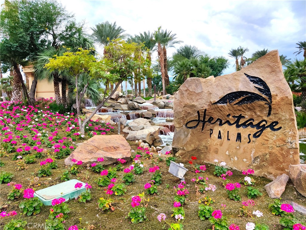 43326 N Heritage Palms Drive