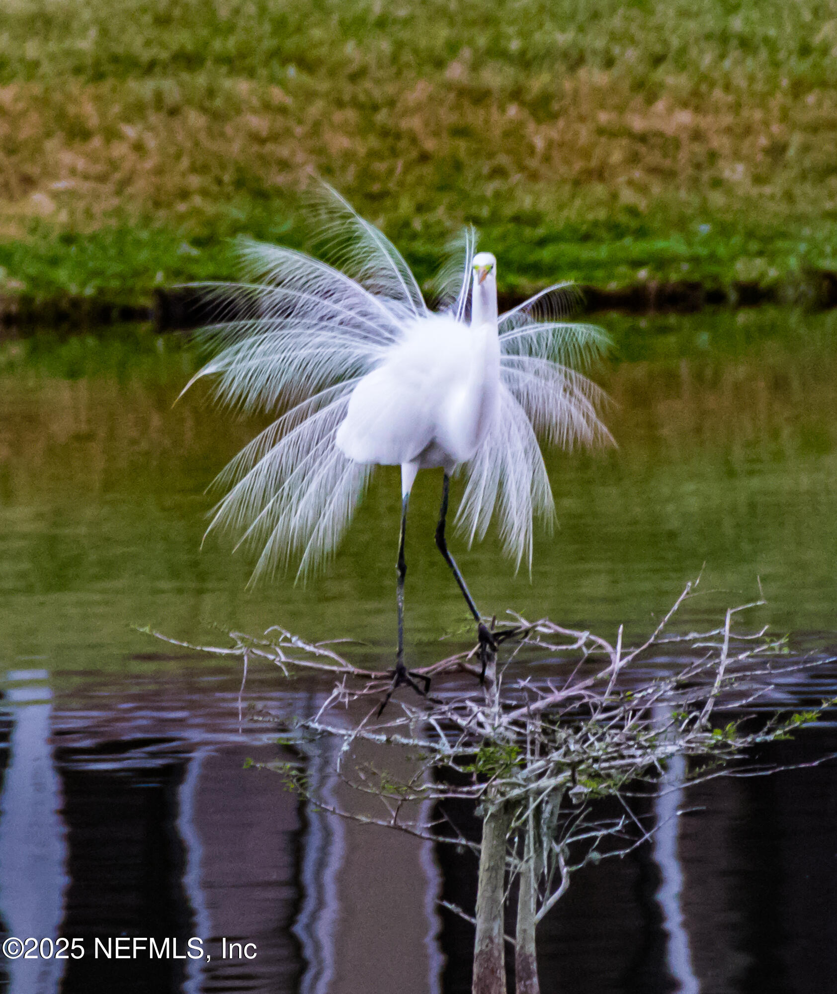 12939 PLANTERS CREEK Circle S