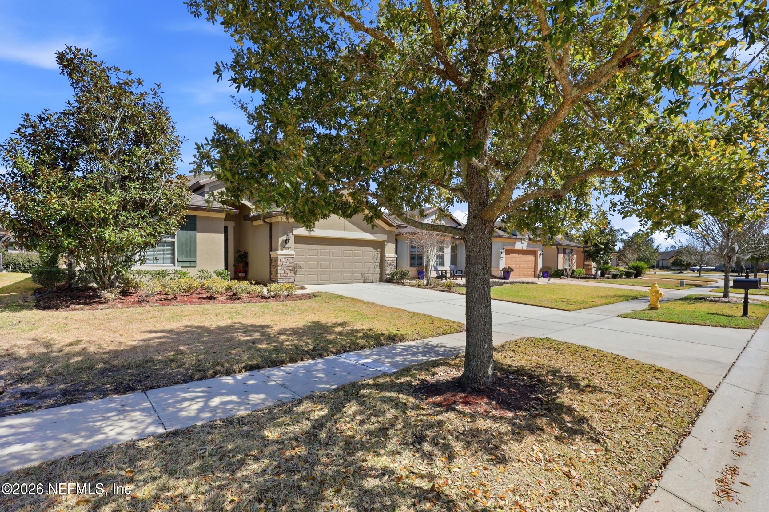 313 MANGROVE THICKET Boulevard