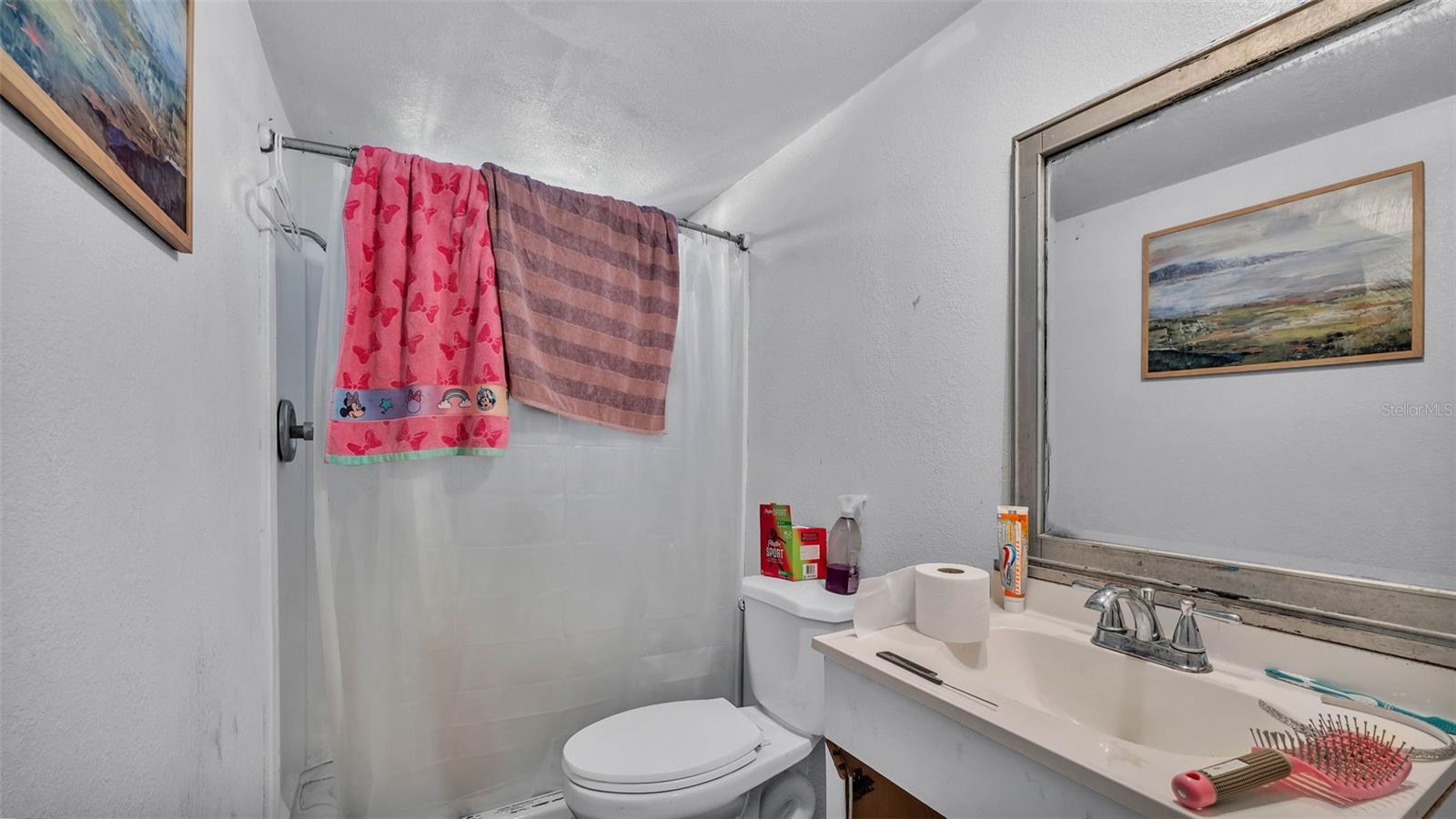 10512 SMOKIE CREEK LN
