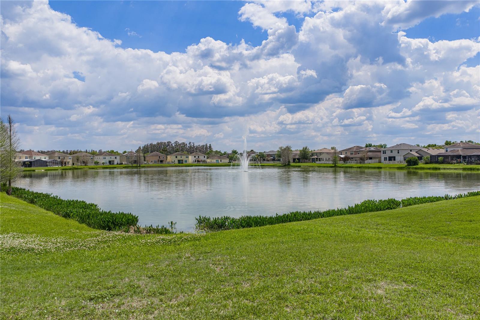 10661 PICTORIAL PARK DR