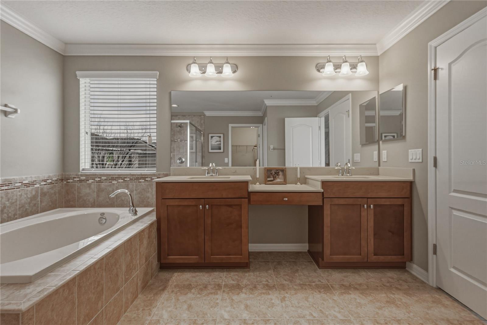 10661 PICTORIAL PARK DR