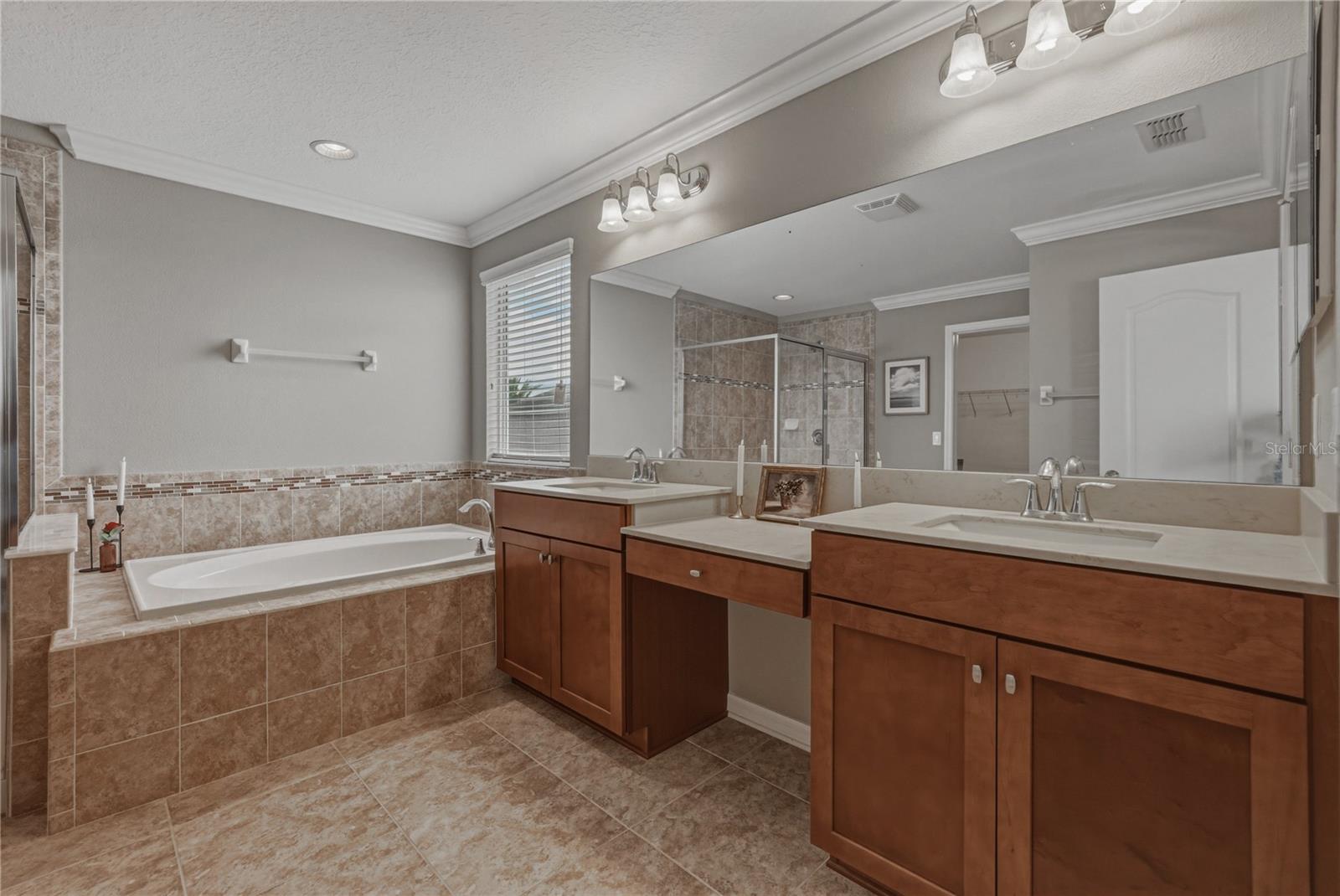 10661 PICTORIAL PARK DR