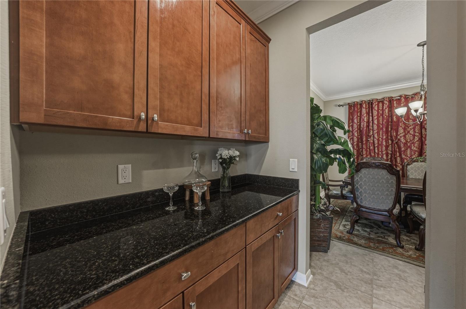 10661 PICTORIAL PARK DR