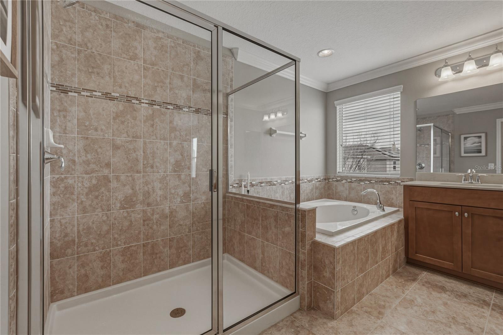 10661 PICTORIAL PARK DR