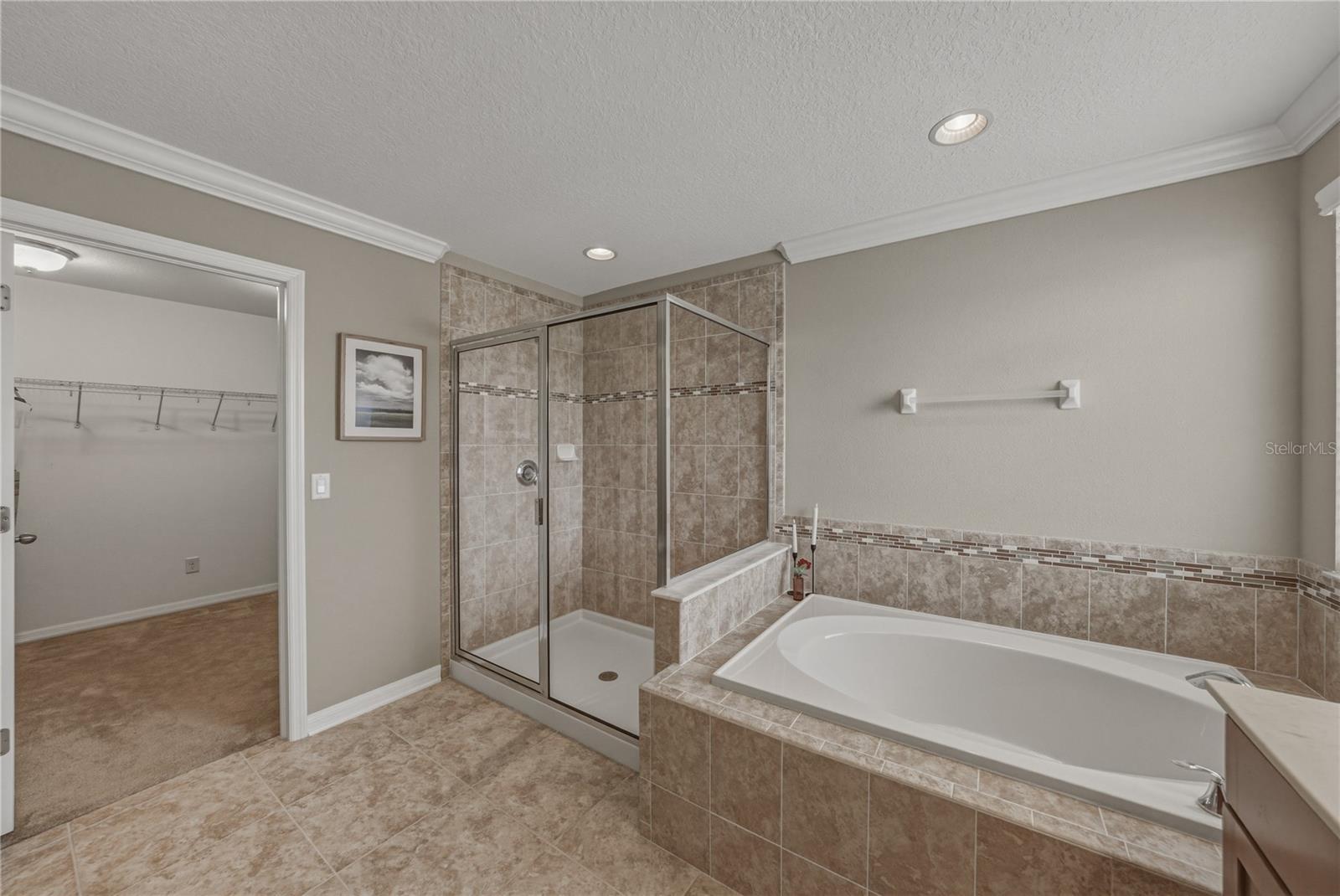 10661 PICTORIAL PARK DR