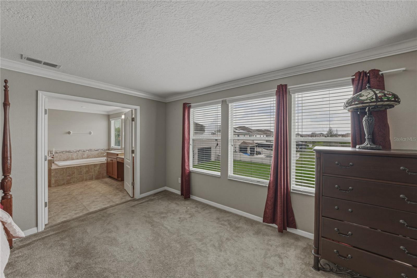 10661 PICTORIAL PARK DR