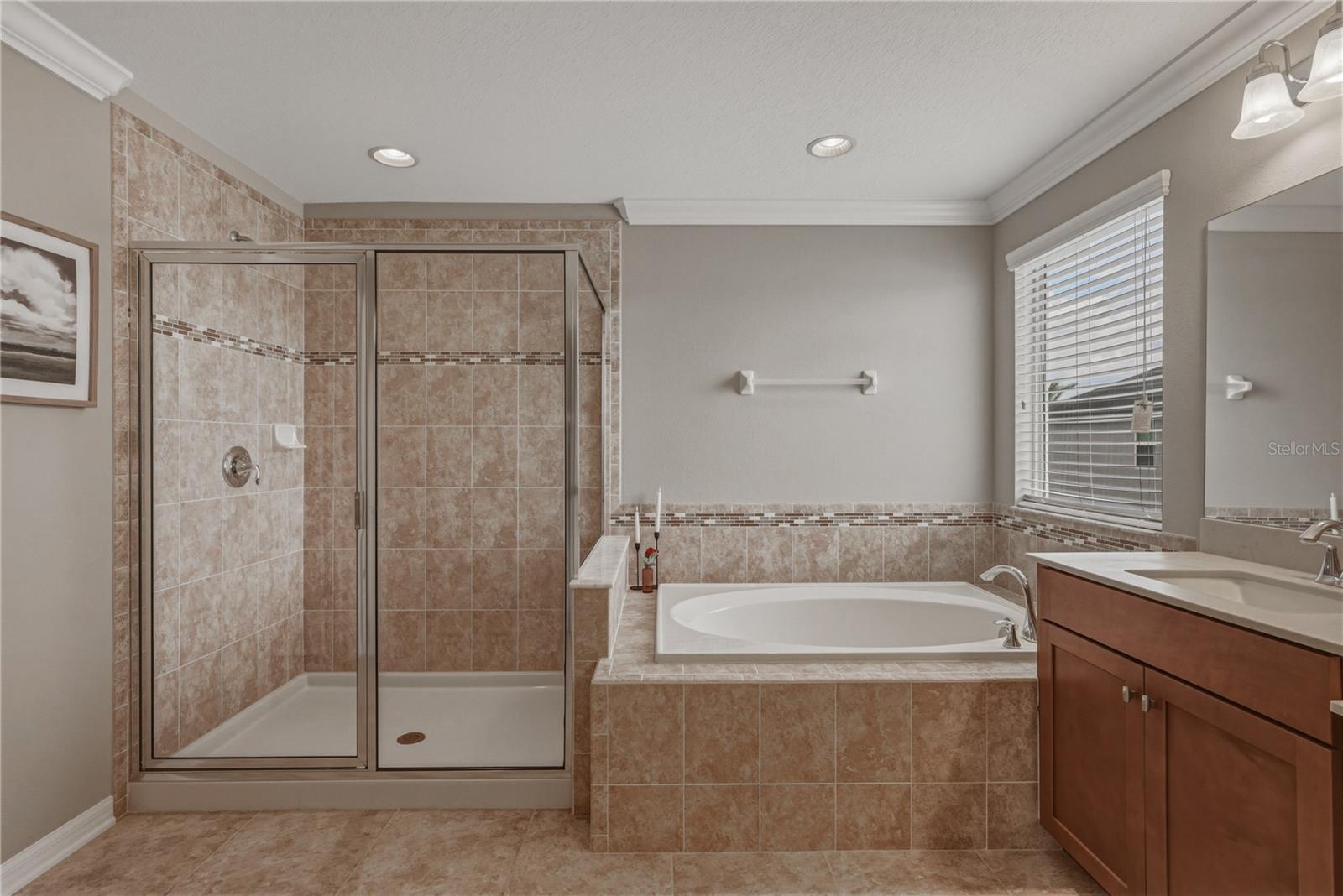 10661 PICTORIAL PARK DR