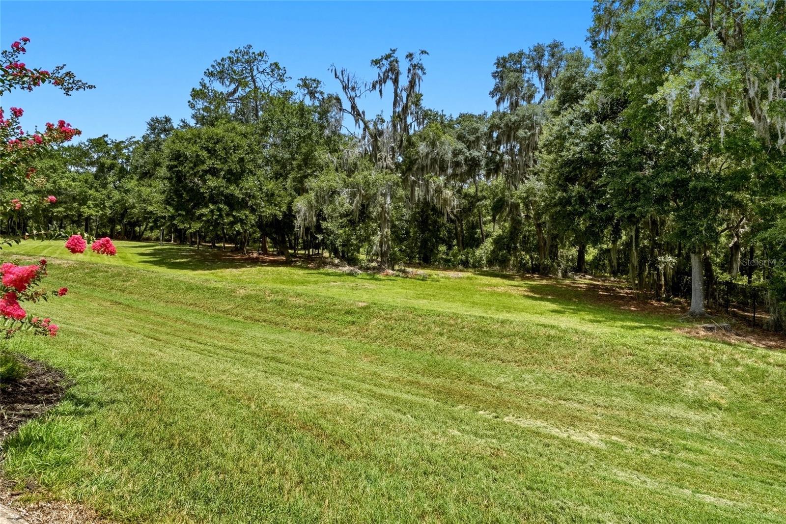 3196 HAWKS RIDGE DR