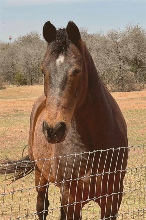 5951 E Sorghum Mill Road