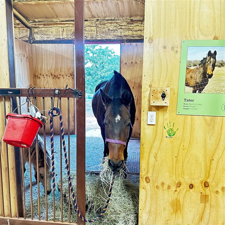 5951 E Sorghum Mill Road