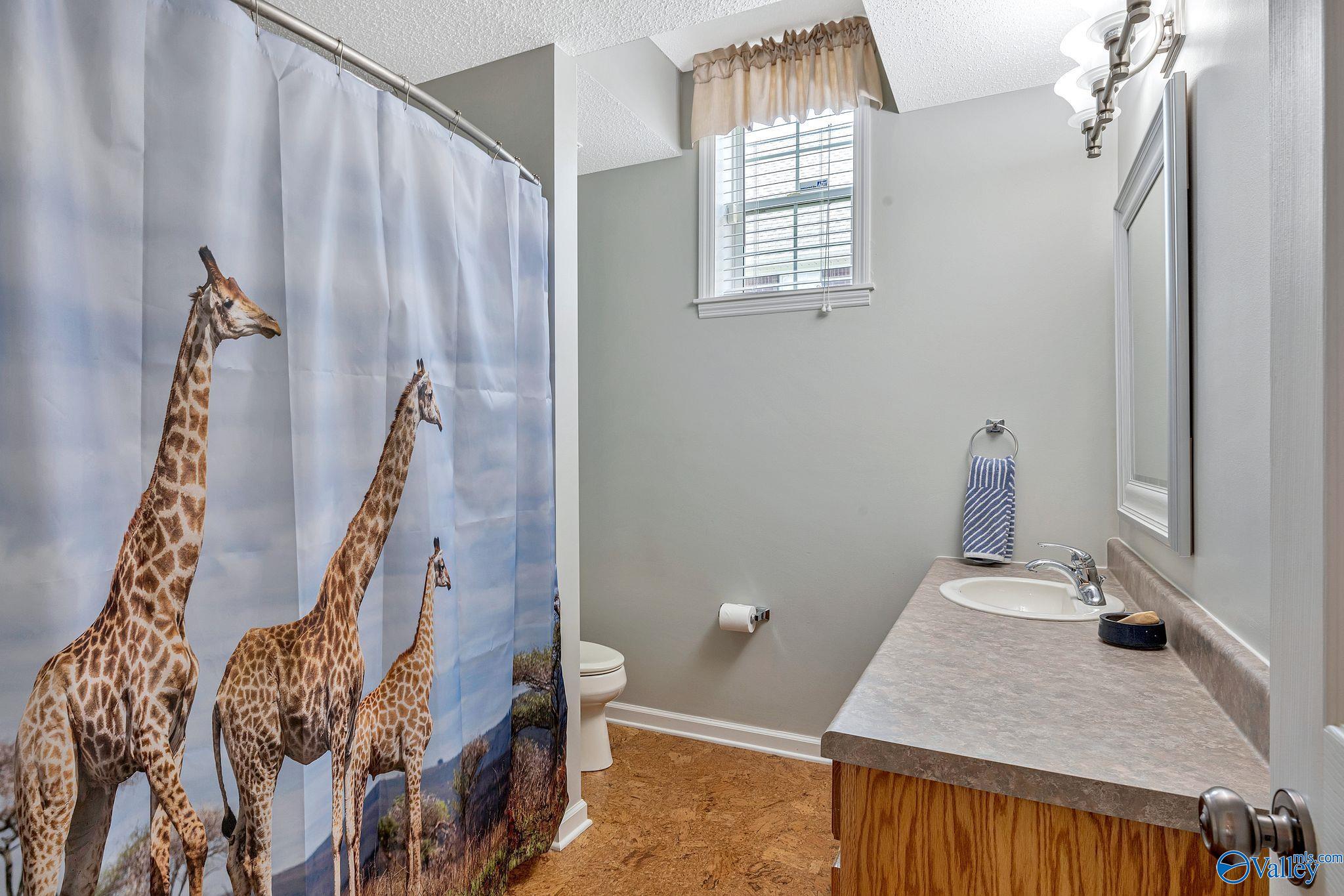 231 Dove Hollow Drive