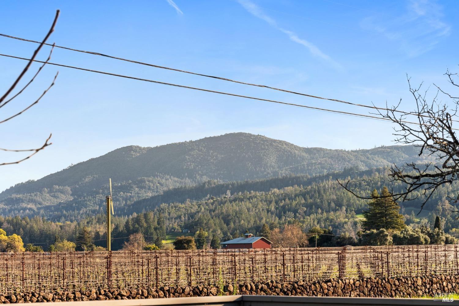 1316 Sulphur Springs Avenue, St. Helena